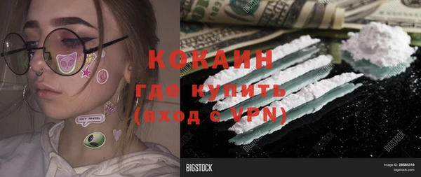 гашик Алзамай