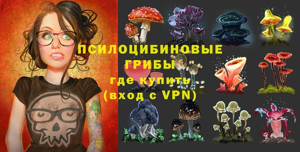 тгк Алексин