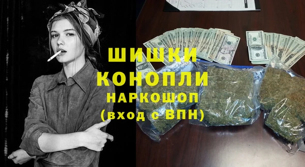 прущие грибы Саяногорск